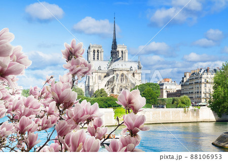 Notre Dame cathedral, Paris France 88106953
