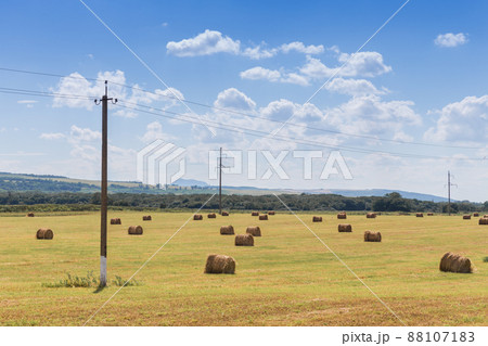 round bales of straw in the meadow round bales of straw in the meadow 88107183