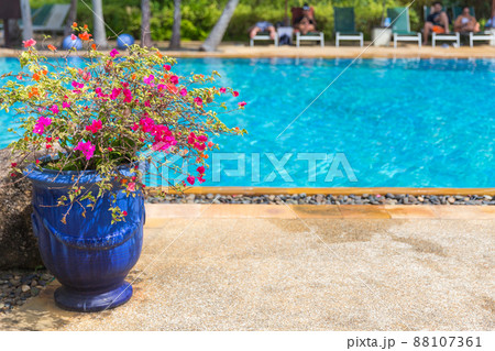 Flowerpot near big nice pool in luxurious hotel 88107361