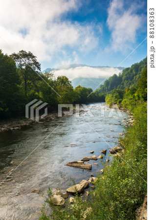 valley of tysza river on a summer morning. beautiful mountain landscape on a foggy morning. cloud hang on the distant summit valley of tysza river on a summer morning. beautiful mountain landscape on a foggy morning. cloud hang on the distant summit 88108363