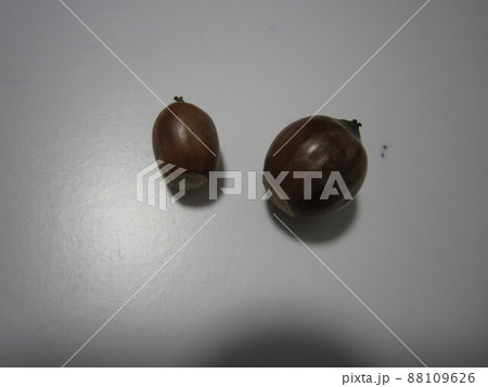 D4877 D4877 88109626