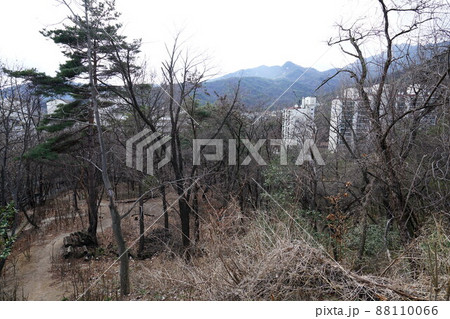 風景 景色 ソウル市 88110066