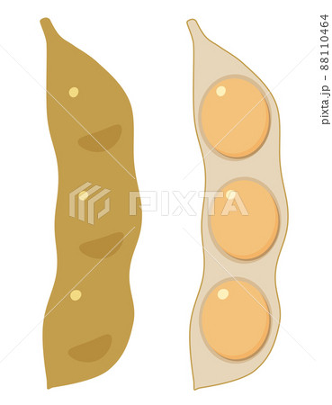 大豆 大豆 88110464