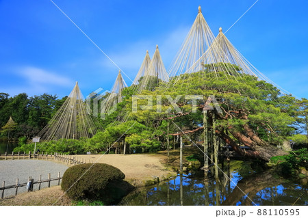 【石川県】晴天下の兼六園　雪吊唐崎松 88110595
