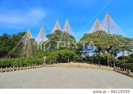 【石川県】晴天下の兼六園　雪吊唐崎松 88110599