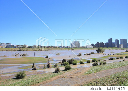神奈川県・川崎市・多摩川（2019年10月13日台風一過） 88111996