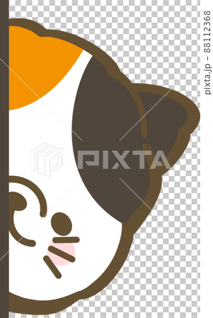 一隻害羞的印花布貓輕輕地偷看 一隻害羞的印花布貓輕輕地偷看 88112368