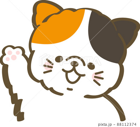 片手を上げて喜ぶ三毛猫 88112374