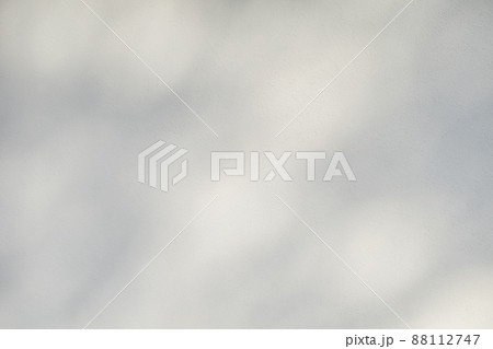 壁に映る柔らかな木の影 モルタル仕上げの外壁　明るめ 88112747