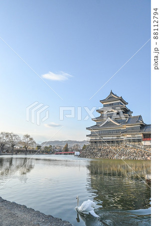 長野県松本市 晴天のもと松本城と水面に浮かぶ一羽の白鳥を眺める 長野県松本市 晴天のもと松本城と水面に浮かぶ一羽の白鳥を眺める 88112794