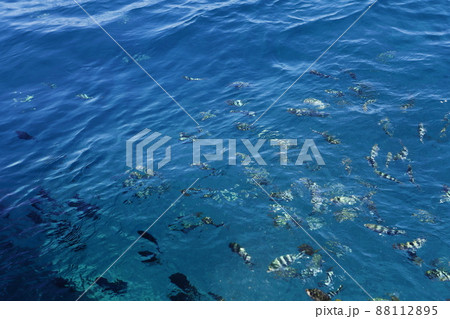 沖縄県 海 海事 88112895