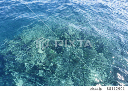 沖縄県 那覇 那覇市 88112901