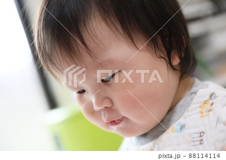 幼児 乳幼児 乳児 88114114