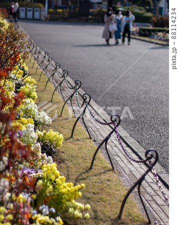 山下公園 春風景 花壇 山下公園 春風景 花壇 88114234