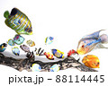 熱帯魚 88114445