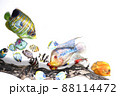 熱帯魚 88114472