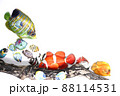 熱帯魚 88114531