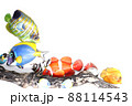 熱帯魚 88114543