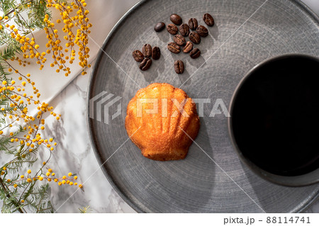 コーヒーブレイク コーヒーブレイク 88114741