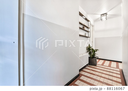 Small narrow corridor with a tile pattern on the floor and a houseplant in a modern house 88116067