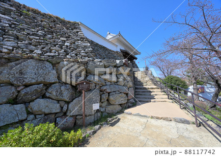 快晴の三河国「浜松城」天守閣と石垣 88117742