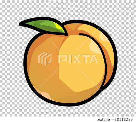 水果插圖黃桃 水果插圖黃桃 88118259