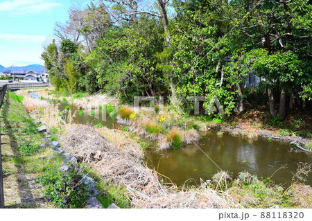 勝瑞城【続日本100名城】 88118320