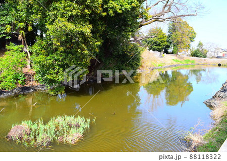 勝瑞城【続日本100名城】 88118322