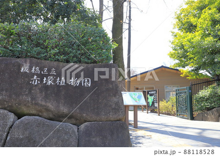 板橋区立赤塚植物園（あかつかしょくぶつえん）　板橋区赤塚　 88118528