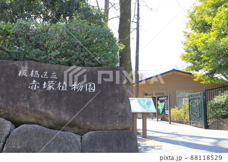 板橋区立赤塚植物園(あかつかしょくぶつえん) 板橋区赤塚 板橋区立赤塚植物園(あかつかしょくぶつえん) 板橋区赤塚 88118529