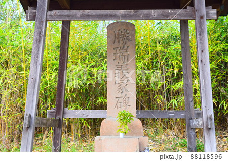 勝瑞城【続日本100名城】 勝瑞城【続日本100名城】 88118596