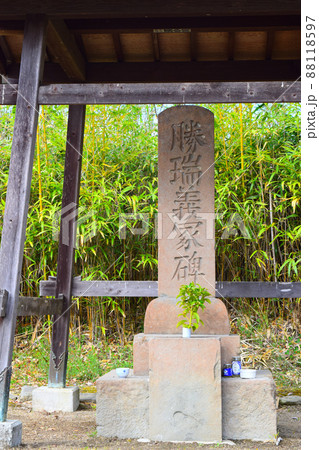 勝瑞城【続日本100名城】 88118597