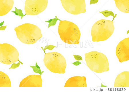 手描きの爽やかなレモンの背景イラストのイラスト素材 11