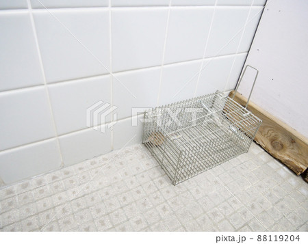 ネズミが捕まっている捕獲機 ネズミが捕まっている捕獲機 88119204
