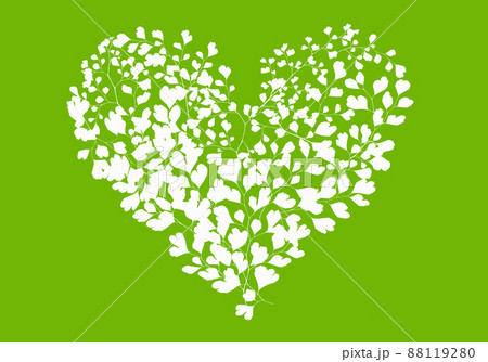 黒い背景に白いハート、アジアンタムの葉 88119280