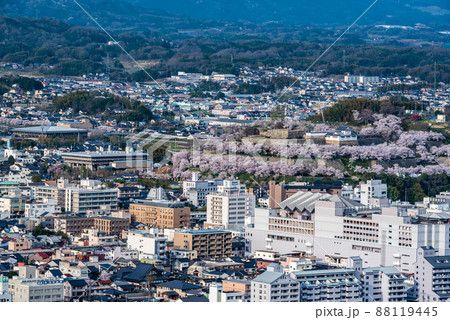津山市街地と春の鶴山公園（津山城跡） 88119445