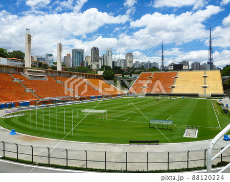 サンパウロのサッカースタジアムのエスタジオ・ド・パカエンブー競技場 サンパウロのサッカースタジアムのエスタジオ・ド・パカエンブー競技場 88120224