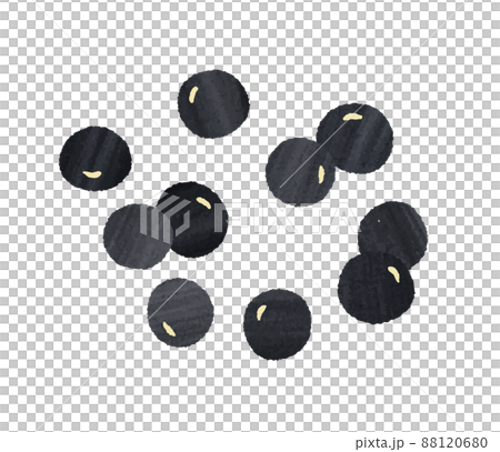 Black bean  88120680