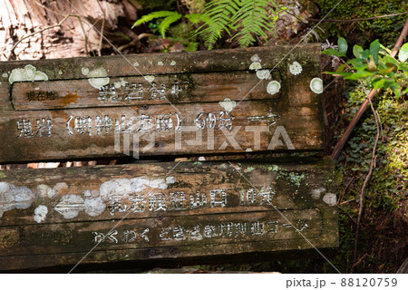 分岐点の看板 分岐点の看板 88120759