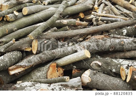 切って積まれた木 88120835