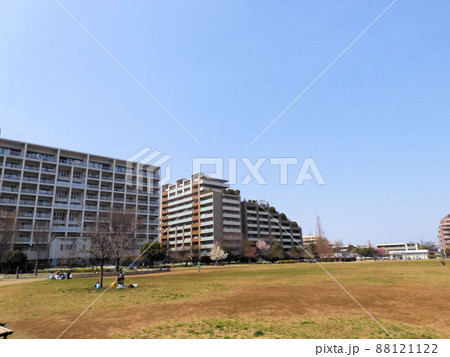 桃井原っぱ公園 88121122