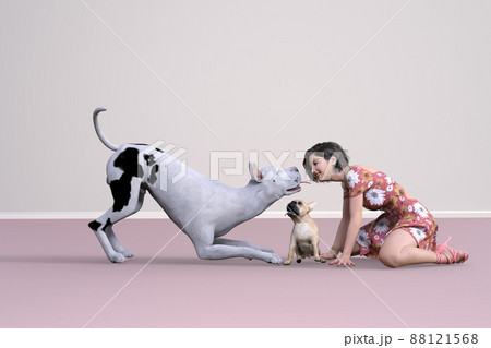 大きな白地に黒い模様のグレートデンとショートヘアの花柄のワンピースを着た女の子が顔を合わせている真ん 大きな白地に黒い模様のグレートデンとショートヘアの花柄のワンピースを着た女の子が顔を合わせている真ん 88121568