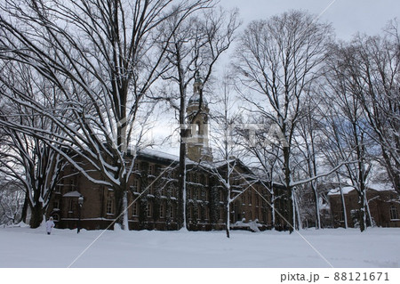 アメリカプリンストン大学 アメリカプリンストン大学 88121671