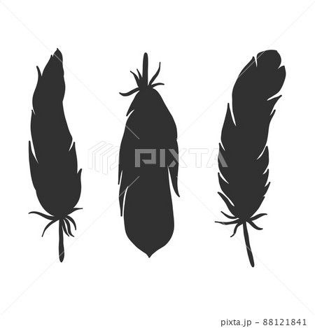 Set of black silhouettes of bird feathers Set of black silhouettes of bird feathers 88121841
