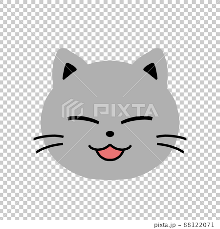 cat face transparent background