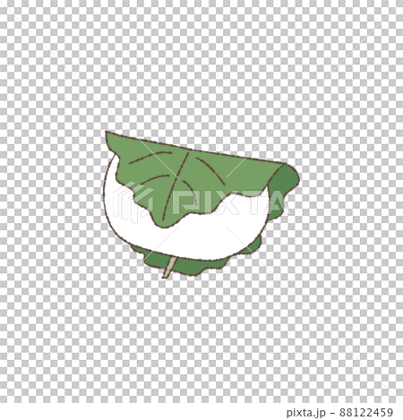 Illustration (with main lines) 88122459