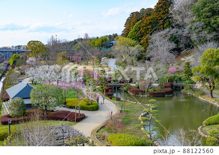 3月の偕楽園 梅祭り 桜山駐車場の歩道橋から 88122560
