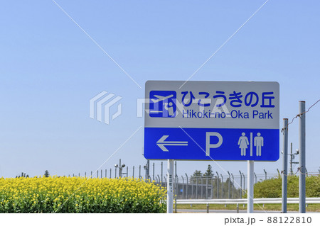 ひこうきの丘　満開の菜の花と案内看板 88122810