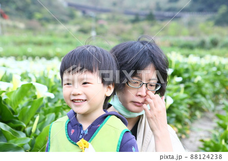 陽明山 クワズイモ 花 88124238
