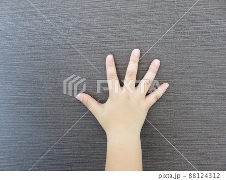 子供の右手 88124312
